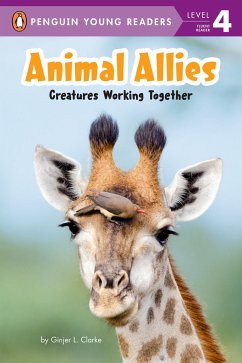 Animal Allies - Clarke, Ginjer L