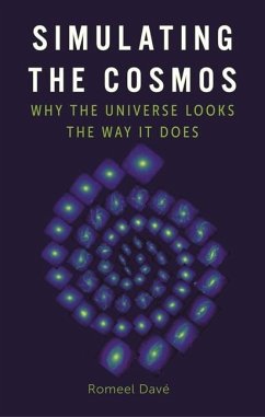 Simulating the Cosmos - Dave, Romeel