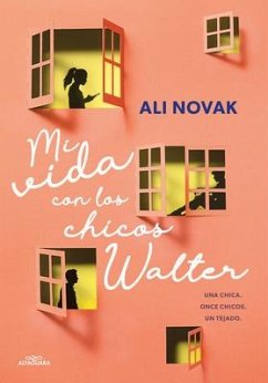 Mi Vida Con Los Chicos Walter / My Life with the Walter Boys - Novak, Ali
