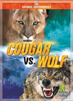 Cougar vs. Wolf - Klepinger, Teresa
