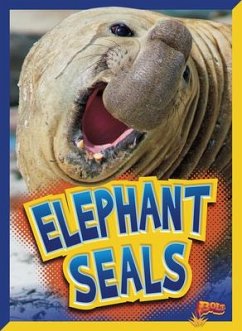 Elephant Seals - Terp, Gail