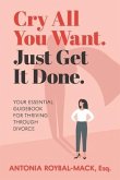Cry All You Want, Just Get It Done: Your Essential Guidebook for Thriving Through Divorce