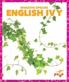 English Ivy - Klepeis, Alicia Z