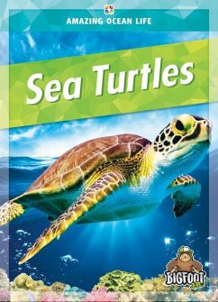 Cover Sea Turtles