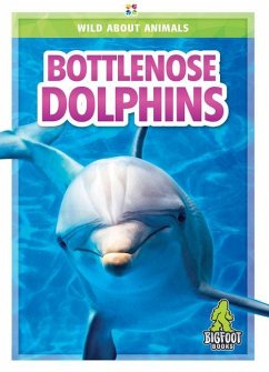 Bottlenose Dolphins - Marie, Renata