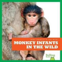 Monkey Infants in the Wild - Brandle, Marie