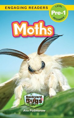 Moths - Podmorow, Ava