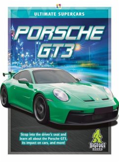 Porsche Gt3 - Mattern, Joanne