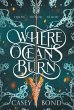 Where Oceans Burn - Bild 1