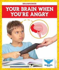 Your Brain When You're Angry - Colich, Abby