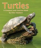 Turtles: A Compare and Contrast Book