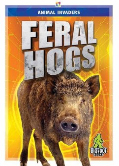 Cover Feral Hogs
