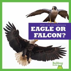 Eagle or Falcon? - Rice, Jamie