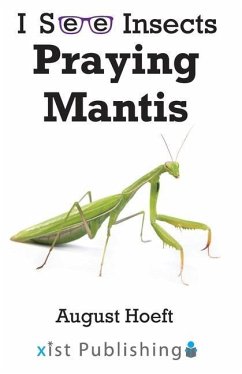 Praying Mantis - Hoeft, August