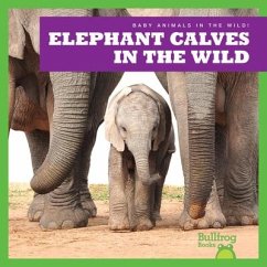 Elephant Calves in the Wild - Brandle, Marie