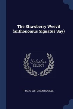 Cover The Strawberry Weevil (anthonomus Signatus Say)
