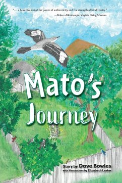 Mato's Journey - Bowles, Dave