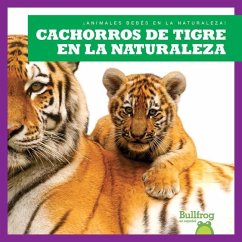 Cachorros de Tigre En La Naturaleza (Tiger Cubs in the Wild) - Brandle, Marie