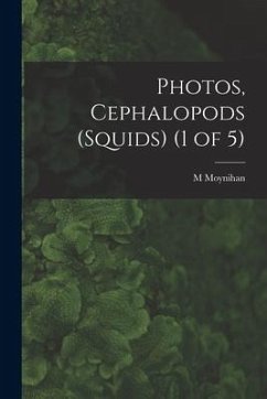 Photos, Cephalopods (Squids) (1 of 5) - Moynihan, M.