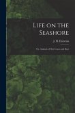 Life on the Seashore: or, Animals of Our Coasts and Bays