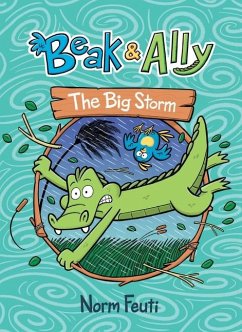 Beak & Ally #3: The Big Storm - Feuti, Norm