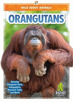 Orangutans - Marie, Renata