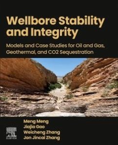 Cover Wellbore Stability and Integrity