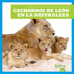Cachorros de León En La Naturaleza (Lion Cubs in the Wild) - Brandle, Marie