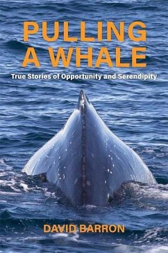 Pulling a Whale: True Stories of Opportunity and Serendipity - Barron, David
