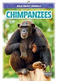 Chimpanzees