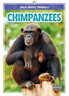 Chimpanzees - Temple, Colton