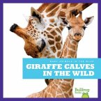 Giraffe Calves in the Wild
