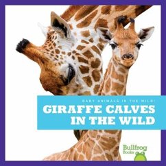 Giraffe Calves in the Wild - Brandle, Marie