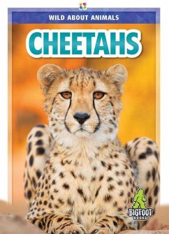 Cheetahs - Temple, Colton