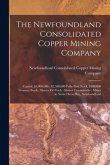 The Newfoundland Consolidated Copper Mining Company [microform]: Capital, $3,000,000: $2,500,000 Fully Paid Stock, $500,000 Treasury Stock; Shares $50