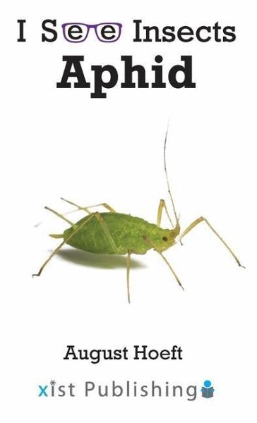 Aphid Aphid