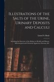 Illustrations of the Salts of the Urine, Urinary Deposits and Calculi: Including the Structure of the Kidney in Health and Disease, Microscopical and