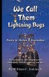We Call Them Lightning Bugs - Bild 1