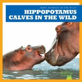 Hippopotamus Calves in the Wild