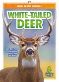 White-Tailed Deer