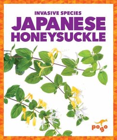 Japanese Honeysuckle - Klepeis, Alicia Z