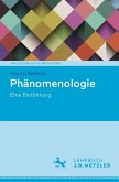Phänomenologie (eBook, PDF)