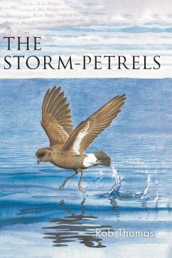 The Storm-petrels - Thomas, Rob