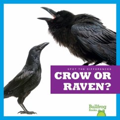 Crow or Raven? - Rice, Jamie