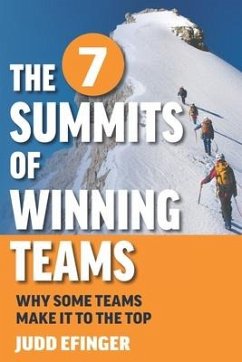 The 7 Summits of Winning Teams: Why Some Teams Make It to the Top - Efinger, Judd