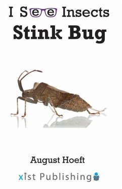 Stink Bug - Hoeft, August