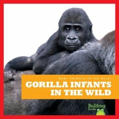 Gorilla Infants in the Wild - Brandle, Marie