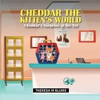 Cheddar The Kitten's World: Cheddar's Surprise at the Vet