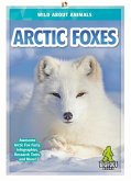 Arctic Foxes