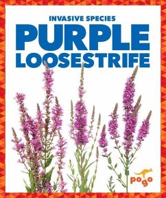 Cover Purple Loosestrife